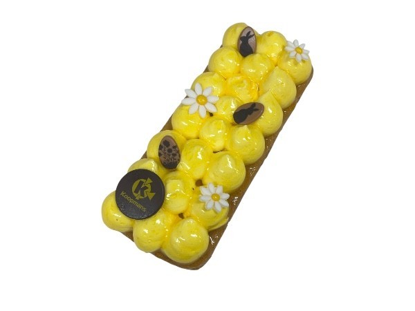 Hardewener slof advocaat